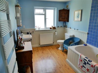 Picture 7